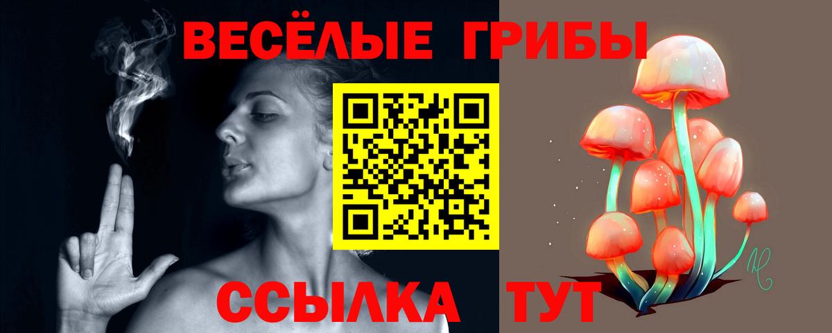 Галлюциногенные грибы Cubensis Тавда